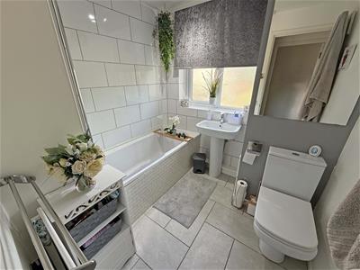 Picture 7